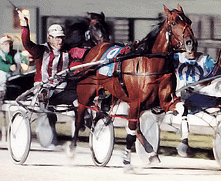 Blossom Lady and Anthony Butt