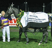 Blacks a Fake Inter Dominion rug