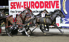 Blacks a Fake 2006 Victoria Cup