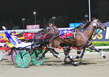 A win for his final race - The Blacks A Fake, Albion Park, 19/07/2014