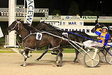 2011 Auckland Cup win