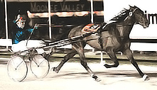 Scotch Notch 1985 Trotting Championship