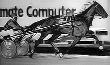 Time Trial Scotch Notch 